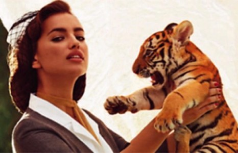 Шейк “Harper”s Bazaar UK” сэтгүүлийг чимнэ