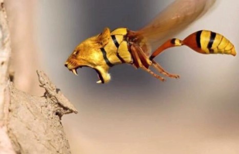 Элдэв зураг