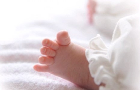 “БИ ААВ, ЭЭЖ БОЛЛОО” сургалт зохион байгуулагдахаар боллоо.