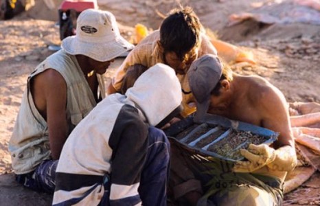 Mонголын гар аргаар алт олборлогсод...