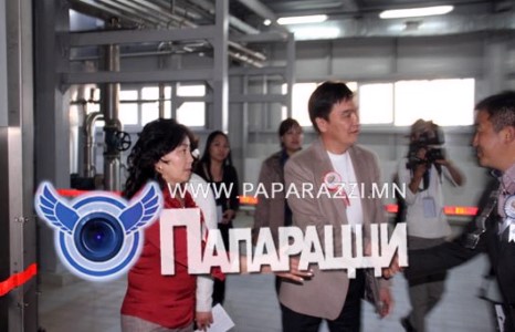 Хувирашгүй хосууд