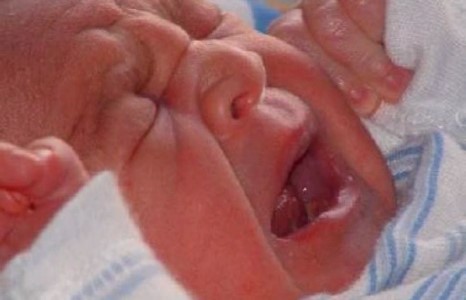 Нялх үрээ гурван давхраас хогийн цэг рүү шидсэн аймшигт хэрэг гарав