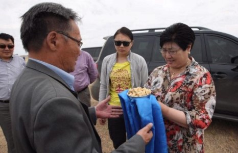 Ховоо татаж, үйлсээ тэгшиллээ