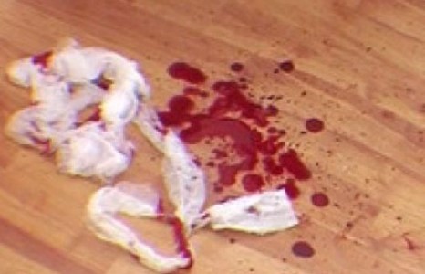 Татварын байцаагчийг 75 удаа хутгалж хөнөөсөн эмэгтэйг саатууллаа