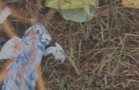 Дахин нэг нярайн цогцос хогийн пункерээс олджээ