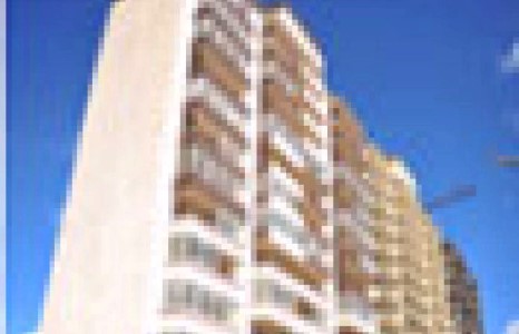 Компанийнх нь тамга тэмдгийг хуулбарлаж, залилжээ