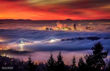 Фотошоп ороогүй гайхалтай зурагнууд