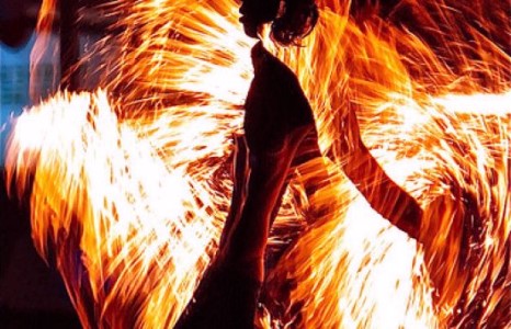 Аварга могой, галын шоугаар үзэгчдээ гайхуулах “Амрита” клубыг зориорой