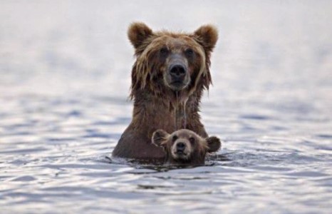 Ээжтжйгээ хамт