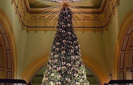 Манай гаригийн хамгийн үнэтэй, тансаг сүлд модууд