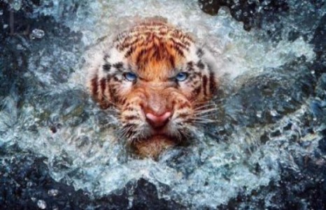 Өнгөрсөн намар интернетийг шуугиулсан зургууд