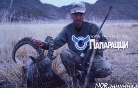 УИХ-ын гишүүн С.Бямбацогт хориотой ан хийжээ