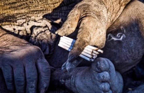 60 жил усанд ороогүй хүн