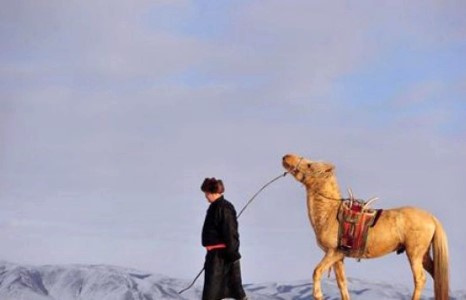 “Морин жилийн хийморь” эгшиглэнэ