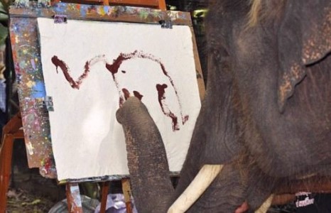 Зурах авьаястай заан