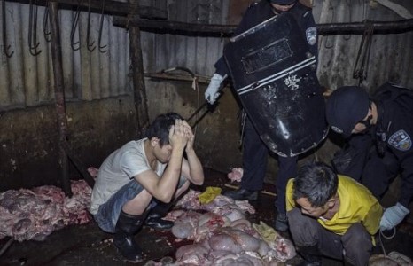 Нядалсан махандаа цөөрмийн бохир ус шахдаг байсан махны наймаачдыг илрүүлжээ