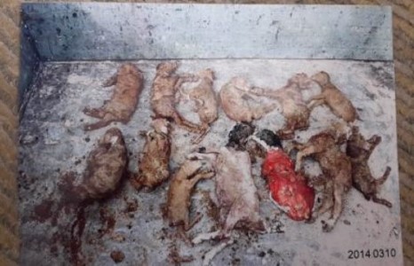 Улаанбадрах суманд яг юу болоод байна ???