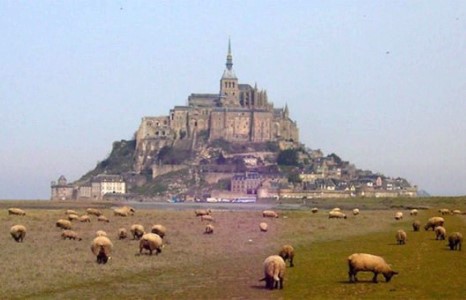 Аялагчид очоод үзэхэд гэмгүй, аглаг газрууд