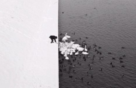 Байгаль эх дэлхийн гайхалтай дүр төрх /фото/