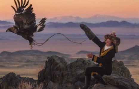 13 настай бүргэдчин охин