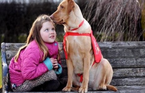 Залуу эзнийхээ амийг өдөр бүр авардаг нохой