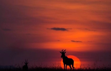 Африкт наран шингэх үеийн гайхамшигт төрх