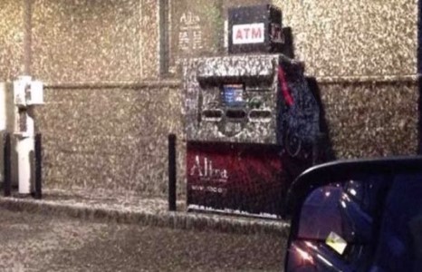 Висконсинд эрт дээр үеийн шавьжнууд сая саяаараа үүрлэжээ