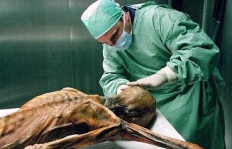 5000 жилийн өмнө хүн хэрхэн харагддаг байсан бэ