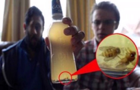 Хүнснээс элдэв зүйл гарах чинь ганц манайд ч байдаг зүйл биш байна