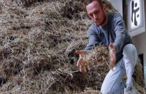 Зураач эр бухал өвснөөс зүү эрж олжээ