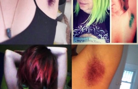 Суганы үсээ буддаг моод дэлгэрчээ