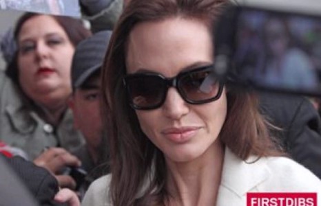 Анжелина Жоли автын ослоос амь мултарчээ