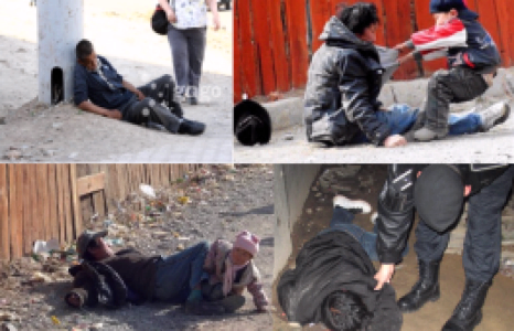 Хуурамч сархадаас сэрэмжлүүлж байна