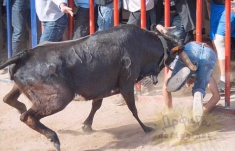 Заяагүй гар байна даа