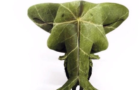 Гайхамшигт ”Боди арт”