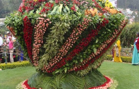  Гайхалтай цэцэрлэгт хүрээлэн