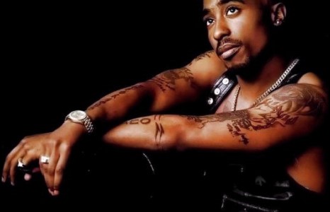 Оддын талаарх сэтгэл хөдөлгөм баримтууд