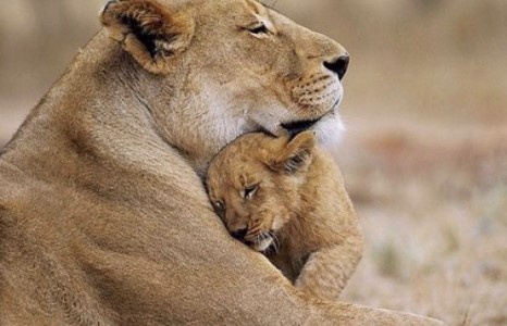 Ээжтэйгээ байхад жаргалтай