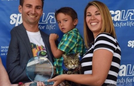 Эзнээ аварсан муур “баатар” цол хүртжээ