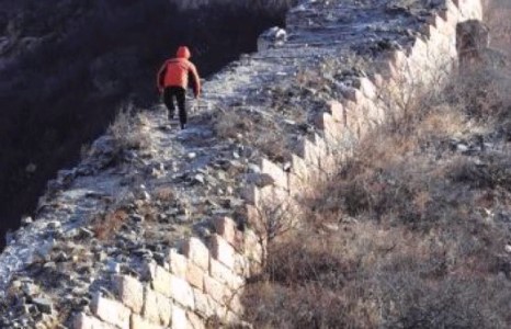 Хятадын цагаан хэрэм устаж 8 хувь нь л үлджээ