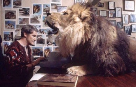 Арслан тэжээдэг гэр бүл