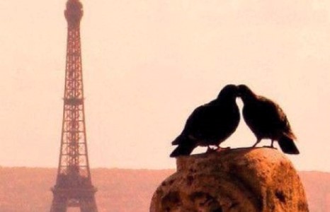 Романтик Парис /фото/