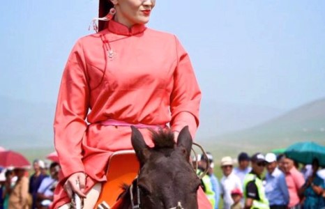 Даншигийн мисс