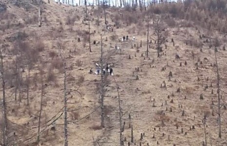Булганы Хийморийн овоо бузартжээ