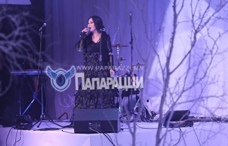 Альтернатив Отгоо Ариунаа Сүри брэндээр гоёв