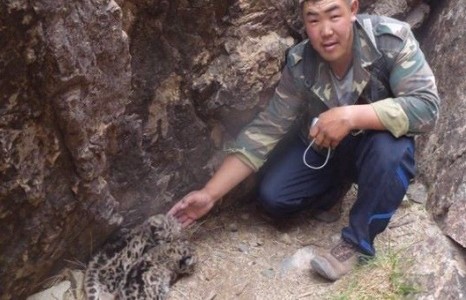 Ирвэс хамгаалагч залуугийн хэргийг илрүүлэх ажлын хэсэг томилогджээ