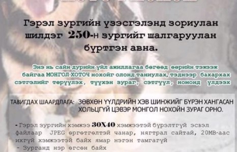 Гэрэл зургийн үзэсгэлэнд зориулан шилдэг 250-н зургийг шалгаруулан бүртгэн авна