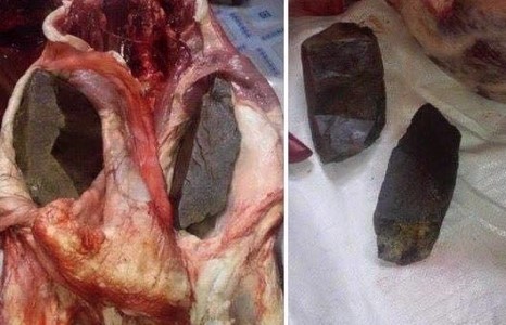 Махны ченж нараас болгоомжилоорой