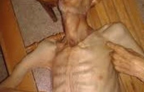 Сирийн Мадаяа хотын иргэд өлсөж үхэж байна