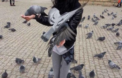 Шүүдэрцэцэг Гандан гарч буян үйлдэв